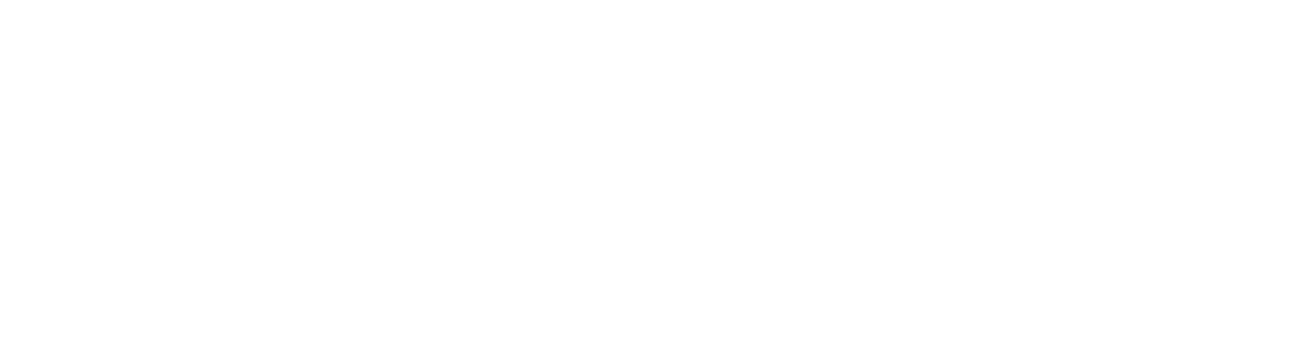 TERMINAL MARKETING